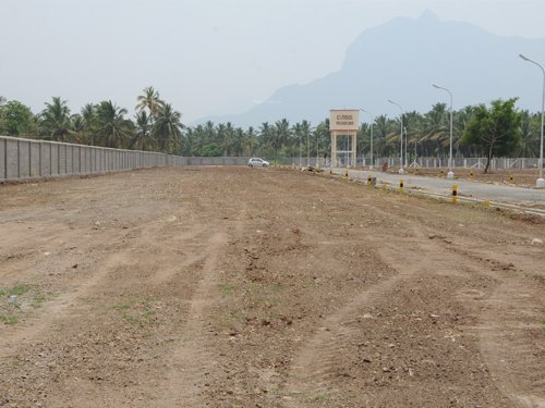 Images for Main Other of Globuse Meadows Images for Main Other of Globuse Meadows