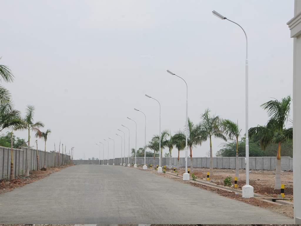 Images for Main Other of Globuse Lushgreens