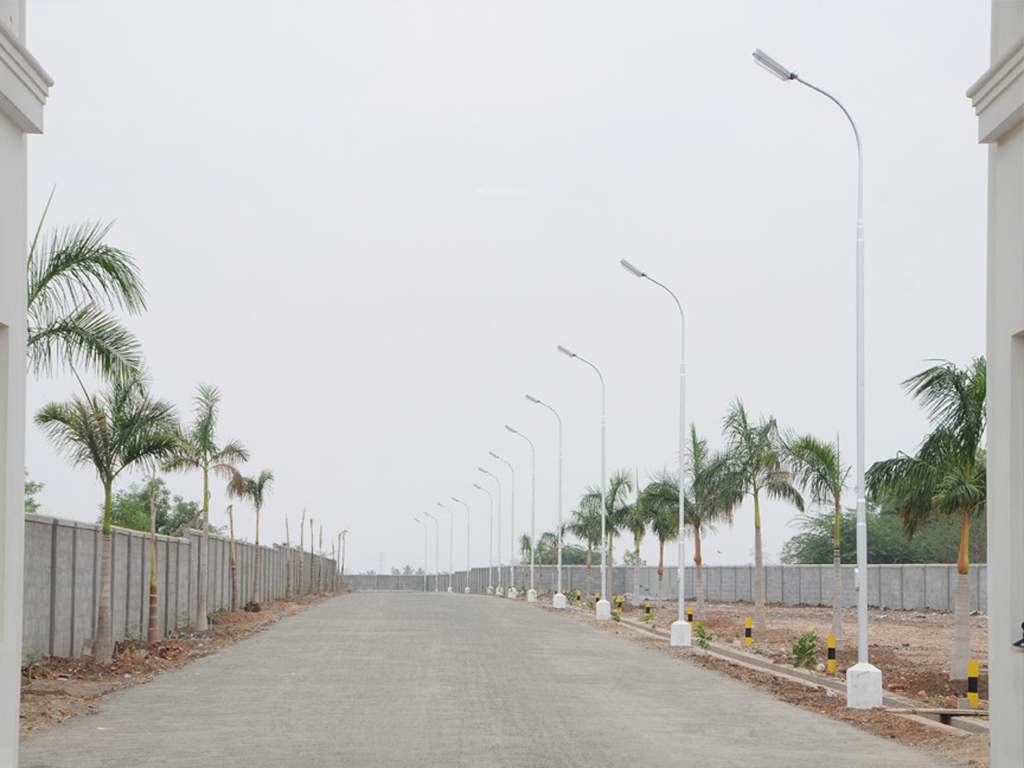 Images for Main Other of Globuse Lushgreens