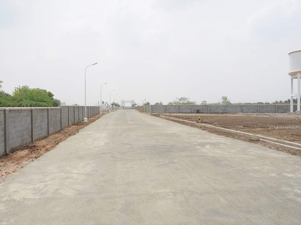 Images for Main Other of Globuse Lushgreens