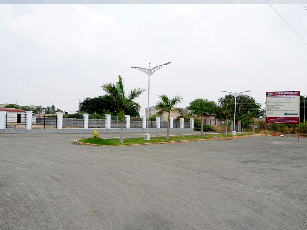 Images for Main Other of Globuse Lushgreens