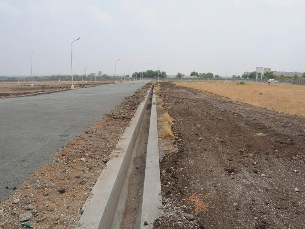 Images for Main Other of Globuse Lushgreens