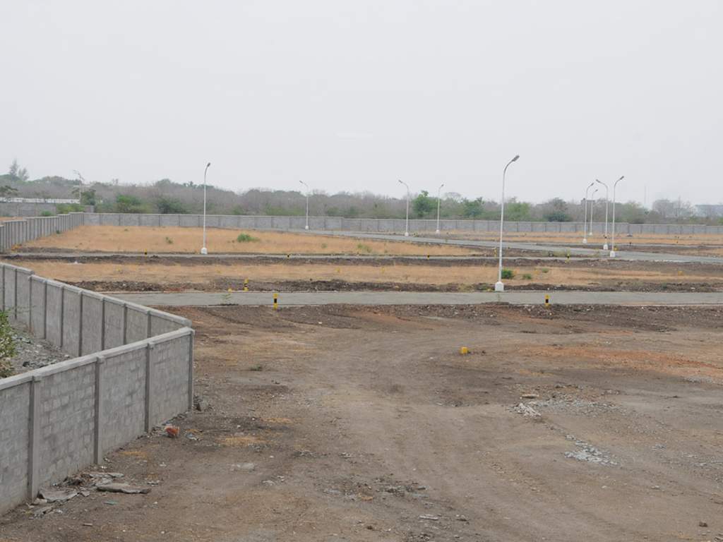 Images for Main Other of Globuse Lushgreens