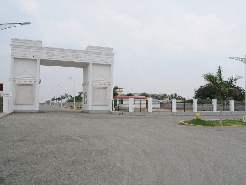 Images for Main Other of Globuse Lushgreens