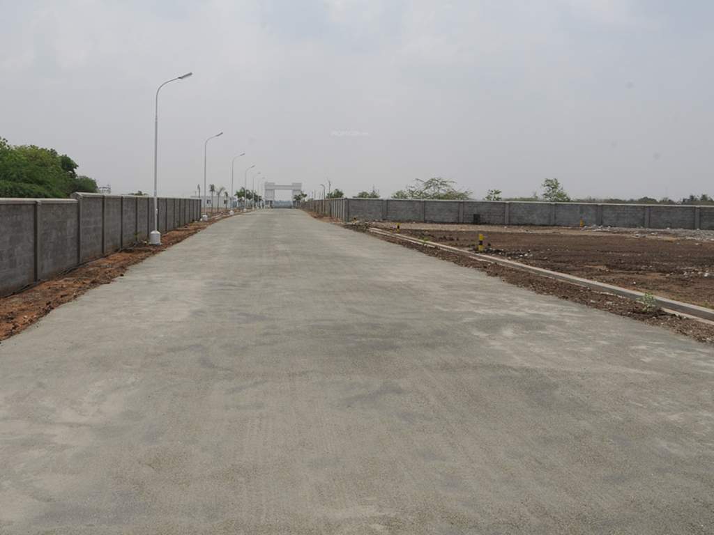 Images for Main Other of Globuse Lushgreens