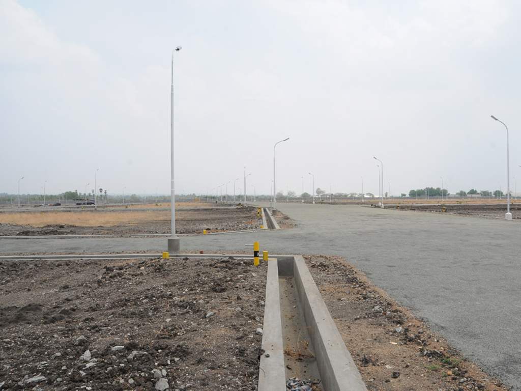 Images for Main Other of Globuse Lushgreens