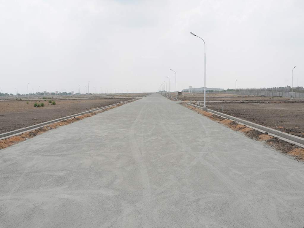 Images for Main Other of Globuse Lushgreens