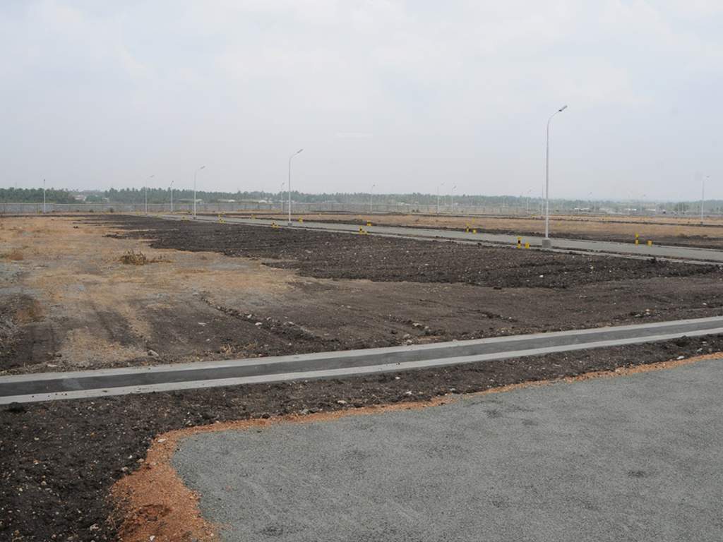 Images for Main Other of Globuse Lushgreens