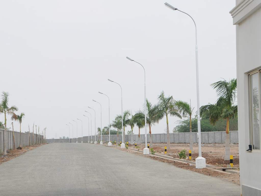 Images for Main Other of Globuse Lushgreens