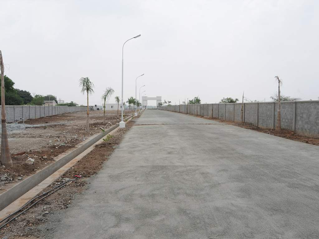 Images for Main Other of Globuse Lushgreens