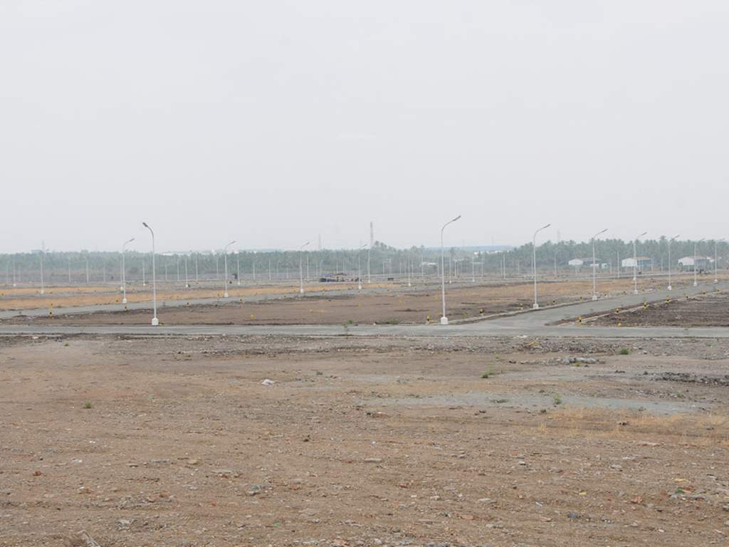 Images for Main Other of Globuse Lushgreens