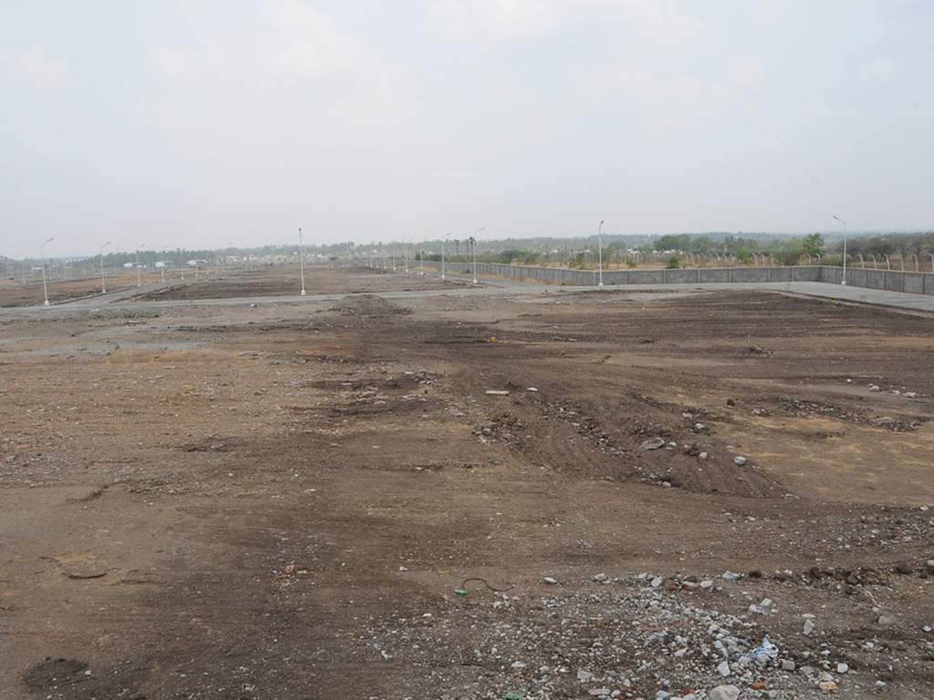 Images for Main Other of Globuse Lushgreens