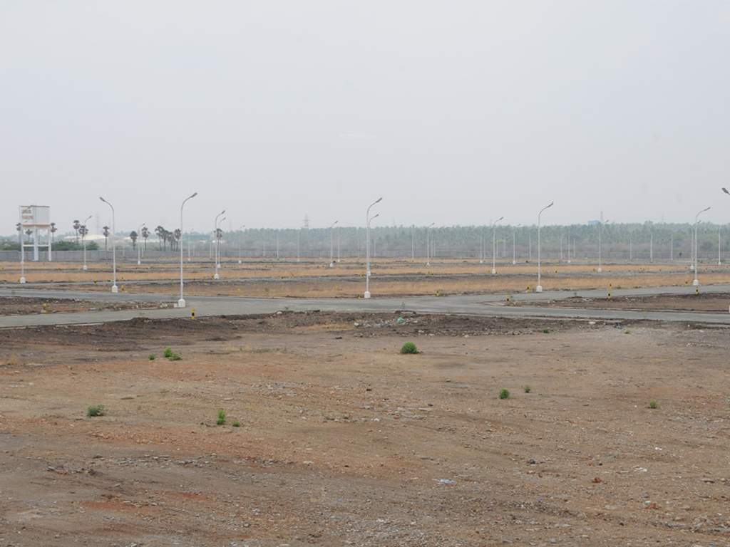 Images for Main Other of Globuse Lushgreens