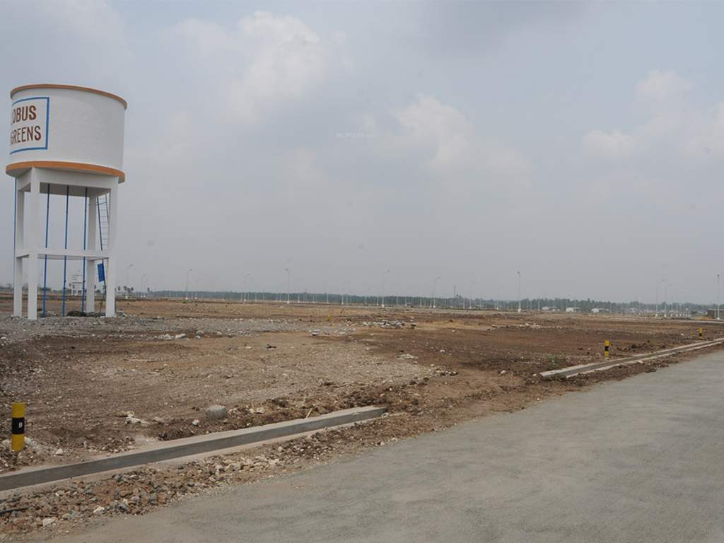 Images for Main Other of Globuse Lushgreens