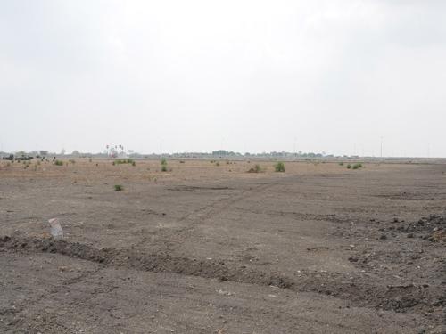 Images for Main Other of Globuse Lushgreens