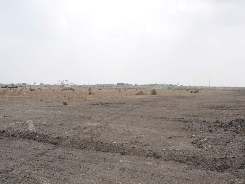 Images for Main Other of Globuse Lushgreens