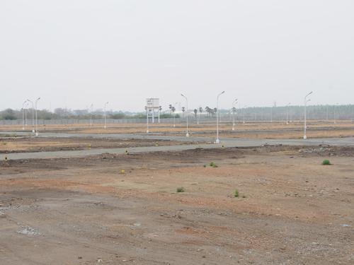 Images for Main Other of Globuse Lushgreens