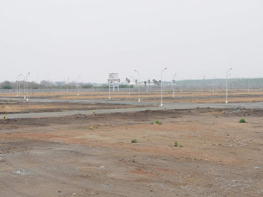 Images for Main Other of Globuse Lushgreens