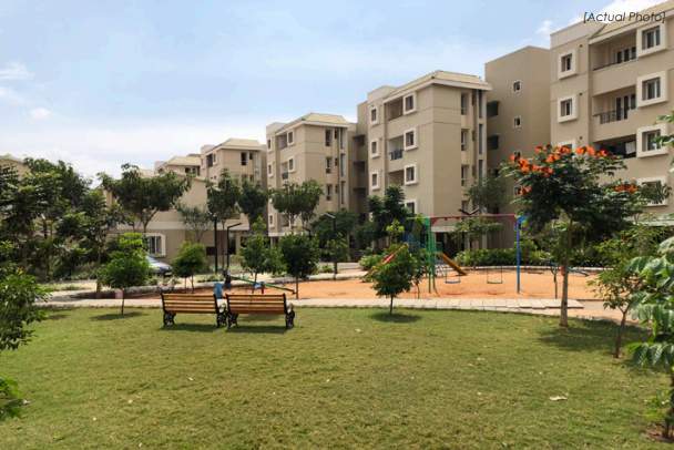  thasami sumeru Landscape Garden and Tree Planting