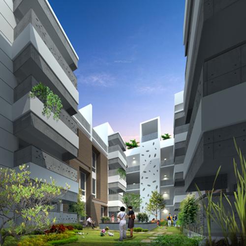  ebony Images for Elevation of NM Ebony