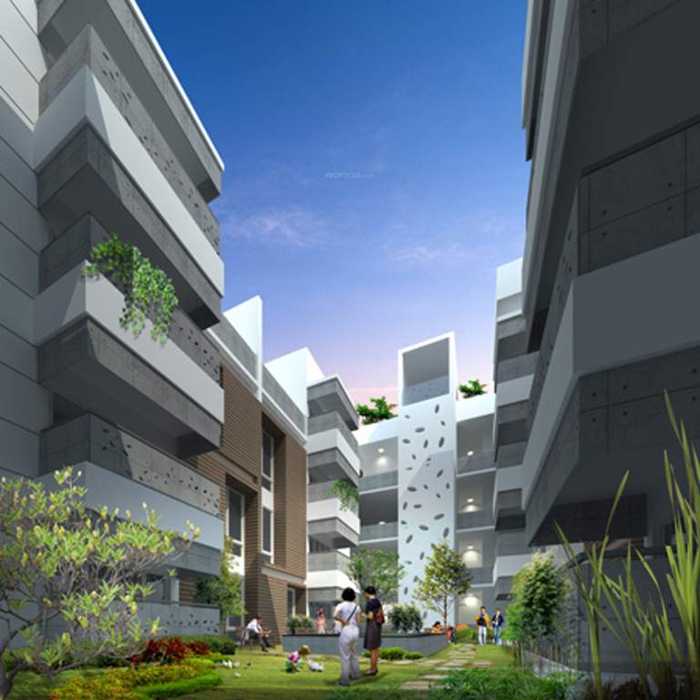  ebony Images for Elevation of NM Ebony