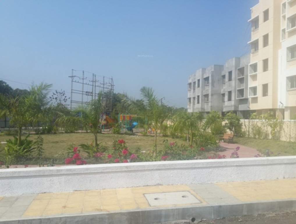 woods Landscape Garden and Tree Planting