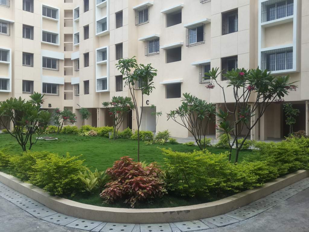 woods Landscape Garden and Tree Planting