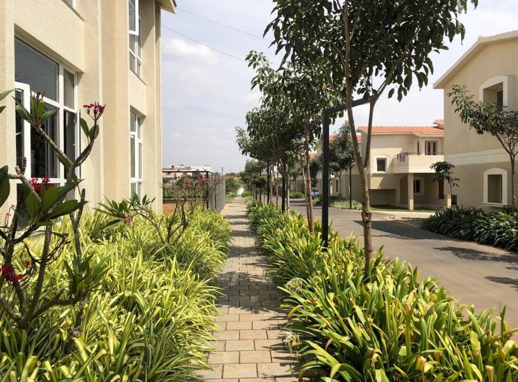 Images for Elevation of Terraspace Thasami Sumeru Villa