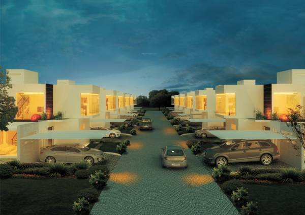 Images for Elevation of Globuse Pandora Images for Elevation of Globuse Pandora