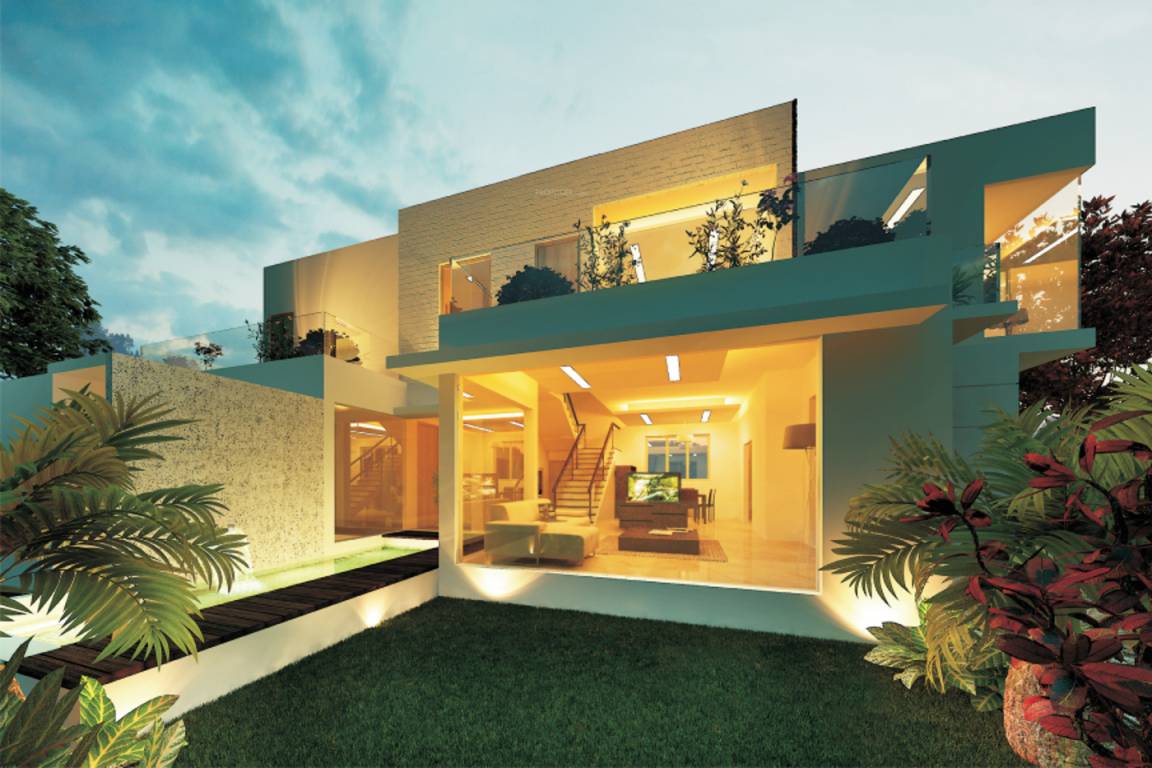 Images for Elevation of Globuse Pandora