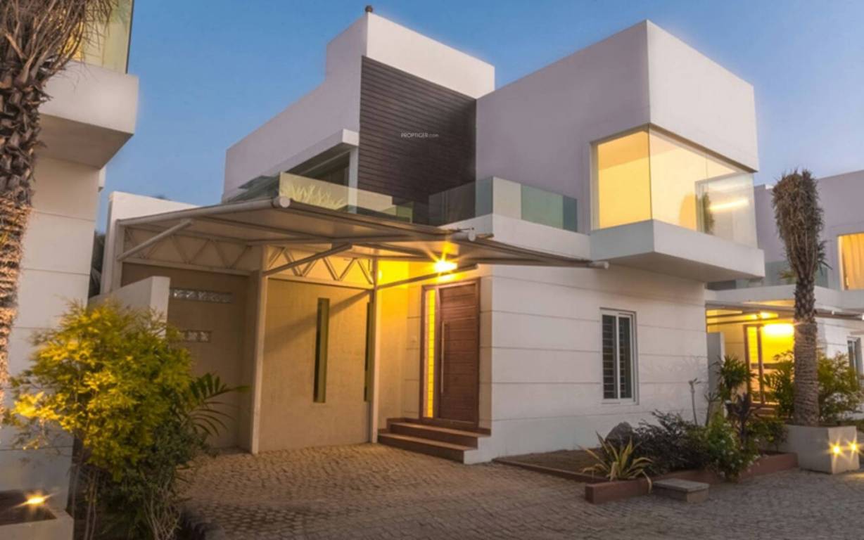 Images for Elevation of Globuse Pandora