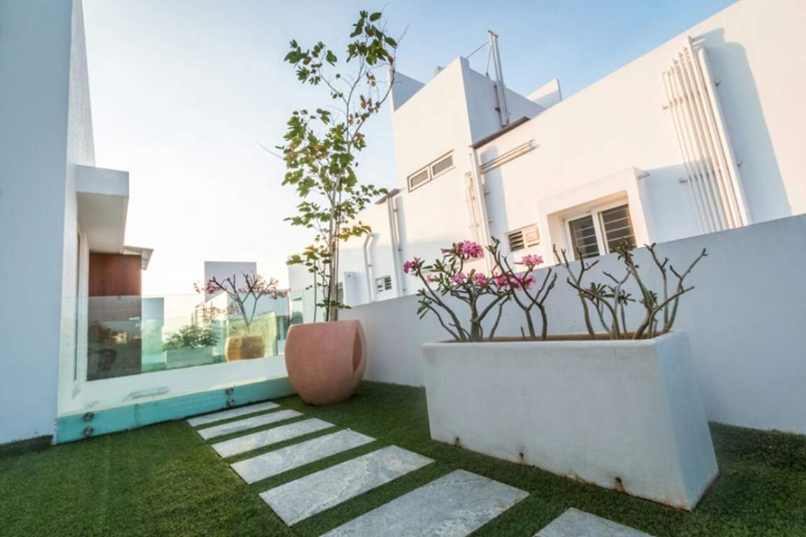 Images for Main Other of Globuse Pandora