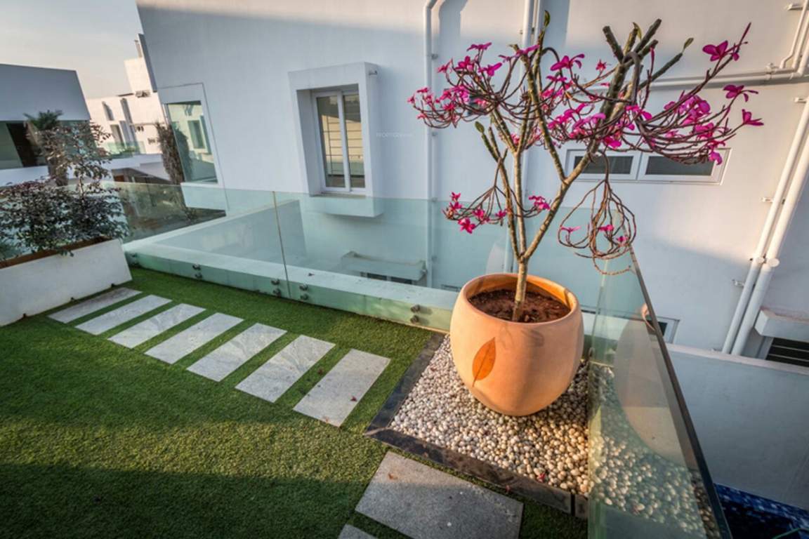 Images for Main Other of Globuse Pandora