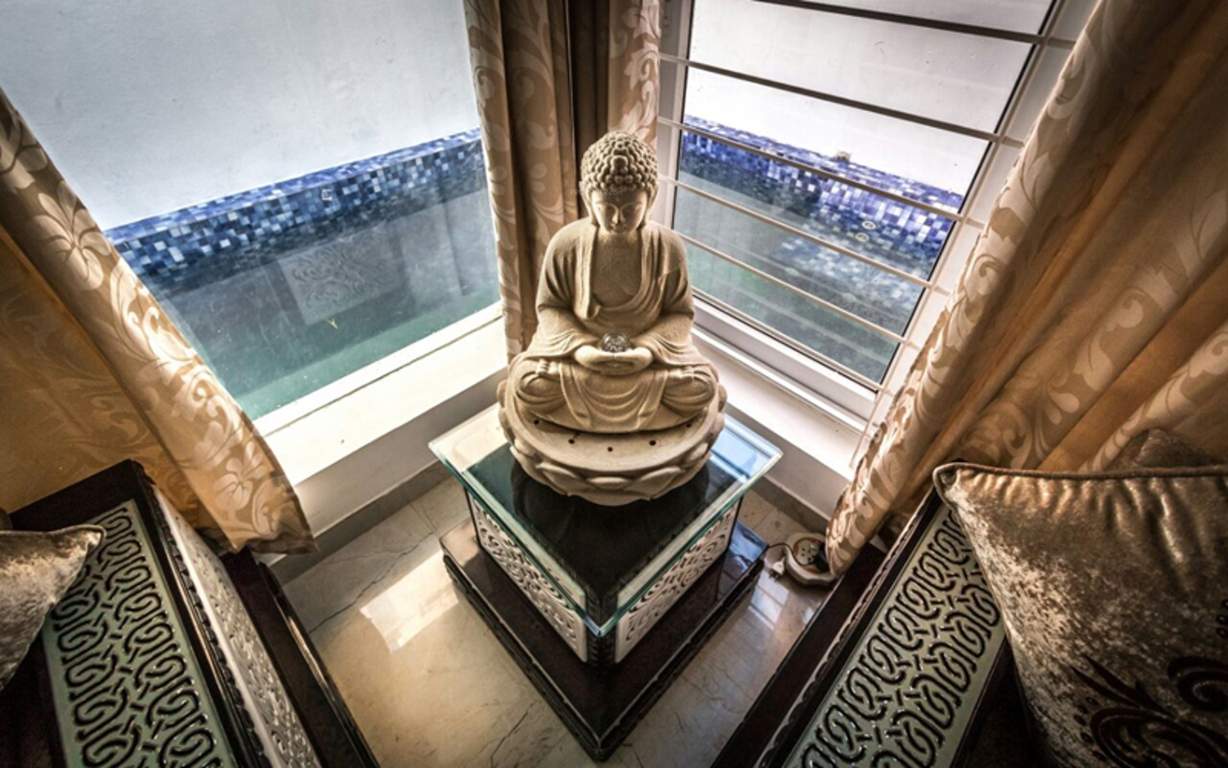 Images for Main Other of Globuse Pandora