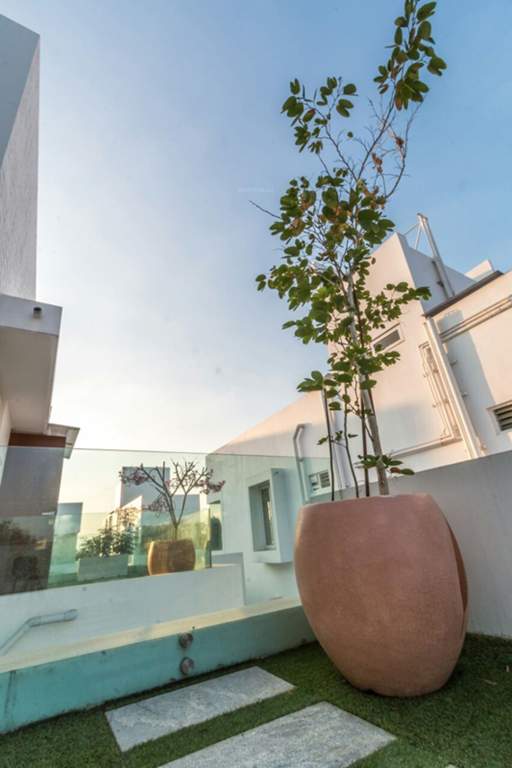 Images for Main Other of Globuse Pandora