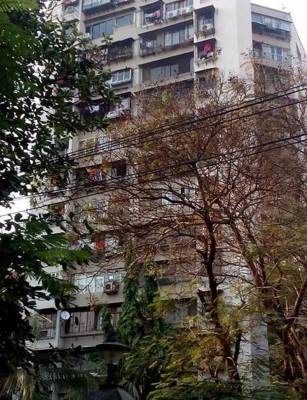 estates Elevation Elevation