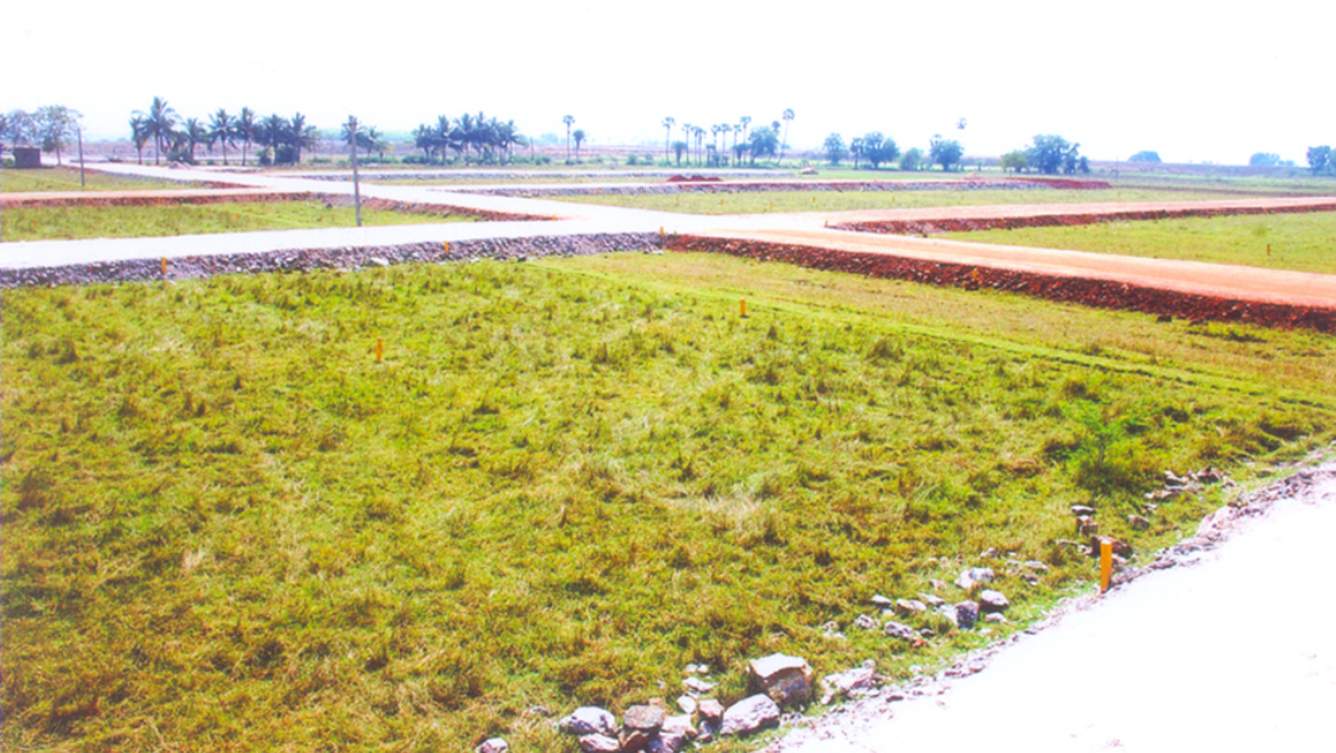 Images for Main Other of Lotus Greenland