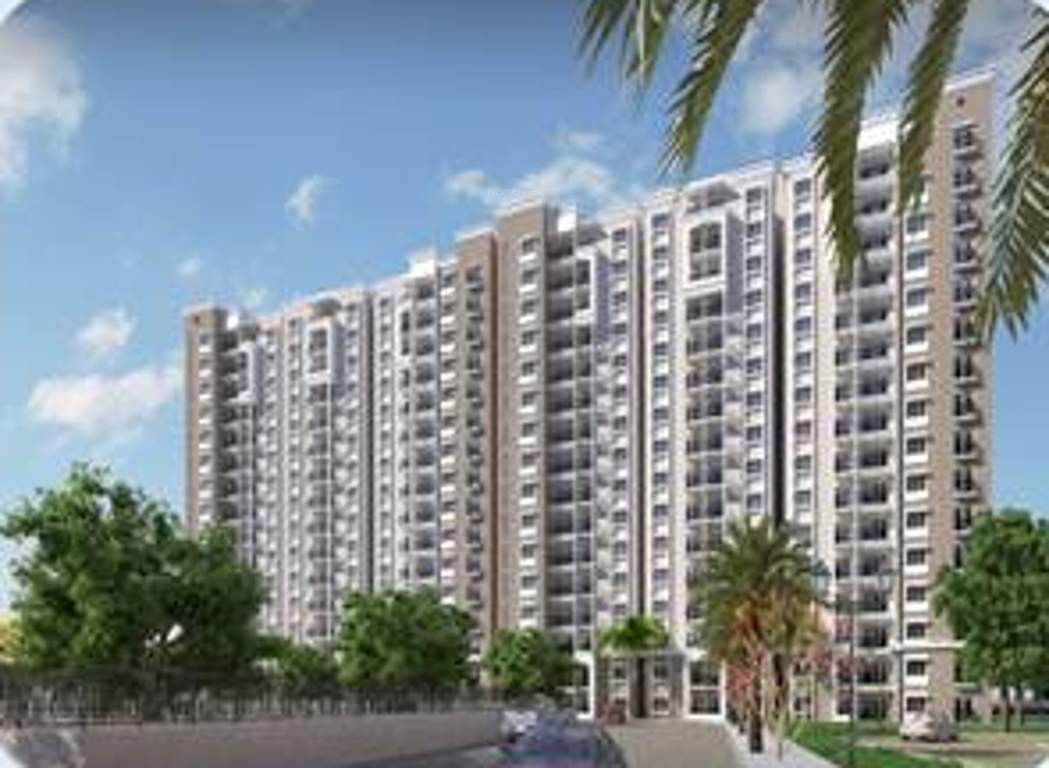  song of the south Images for Elevation of Prestige Song Of The South