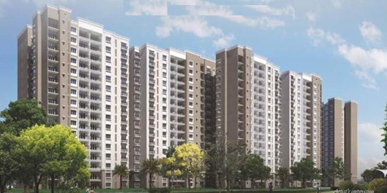  song of the south Images for Elevation of Prestige Song Of The South