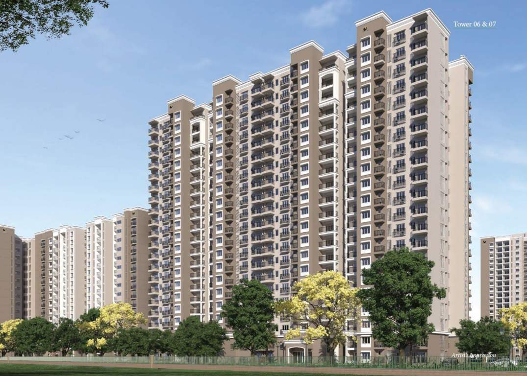  song of the south Images for Elevation of Prestige Song Of The South