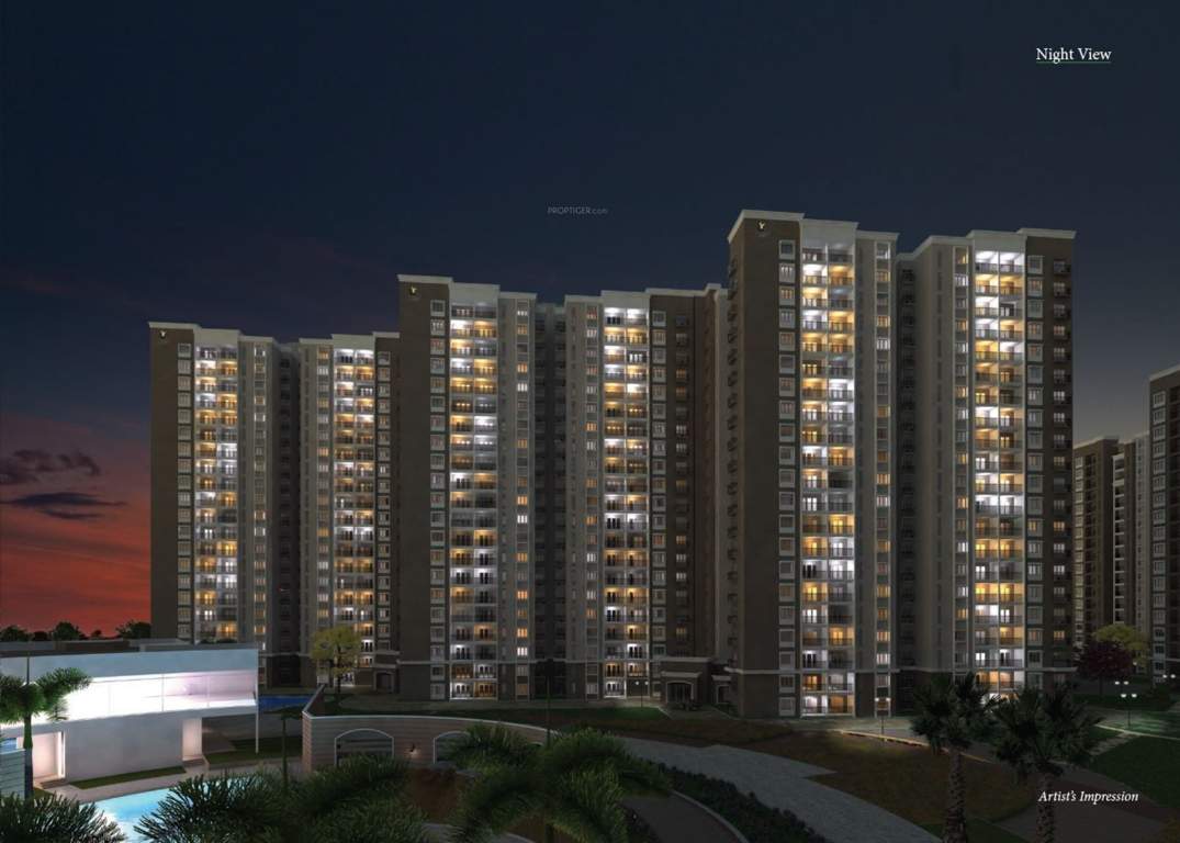  song of the south Images for Elevation of Prestige Song Of The South