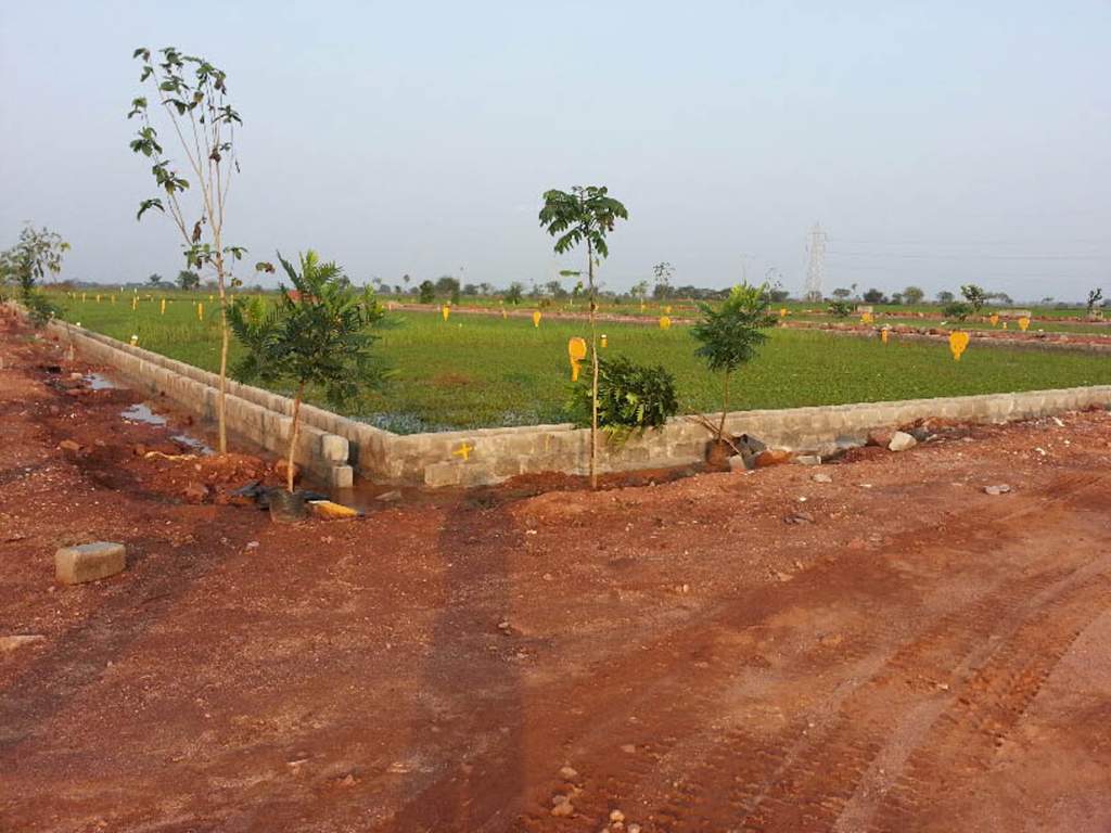 Images for Main Other of Sri Sri Hanuma Gardens