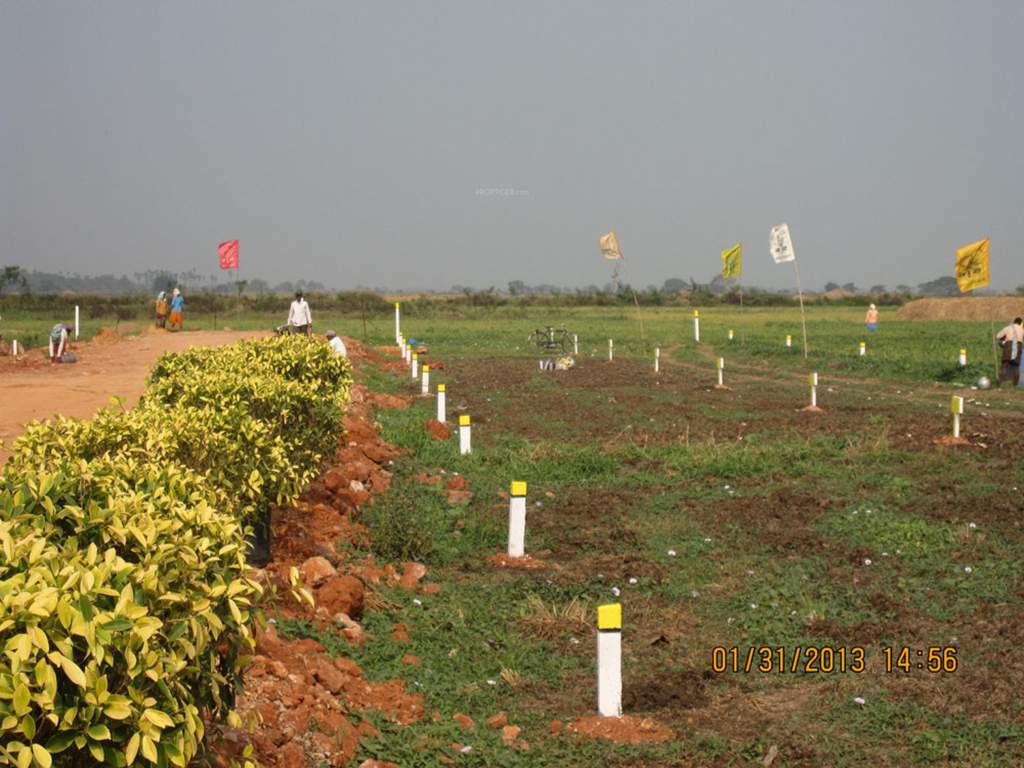 Images for Main Other of Sri Sri Hanuma Gardens