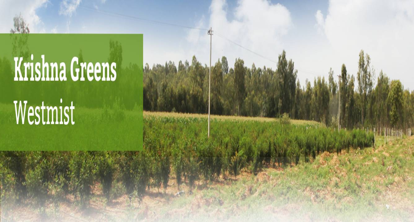 Images for Main Other of M And M Bangalore Krishna Greens Westmist