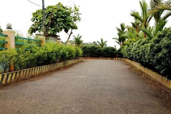 Images for Amenities of Springfield Venzia