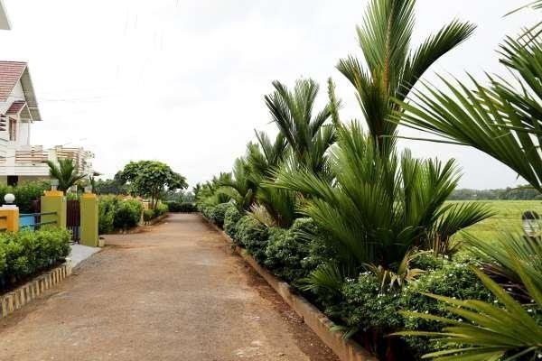 Images for Amenities of Springfield Venzia