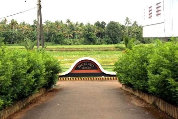 Images for Amenities of Springfield Venzia