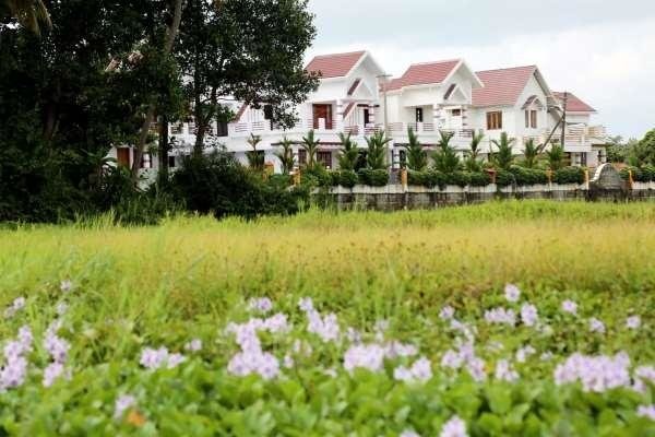 Images for Amenities of Springfield Venzia