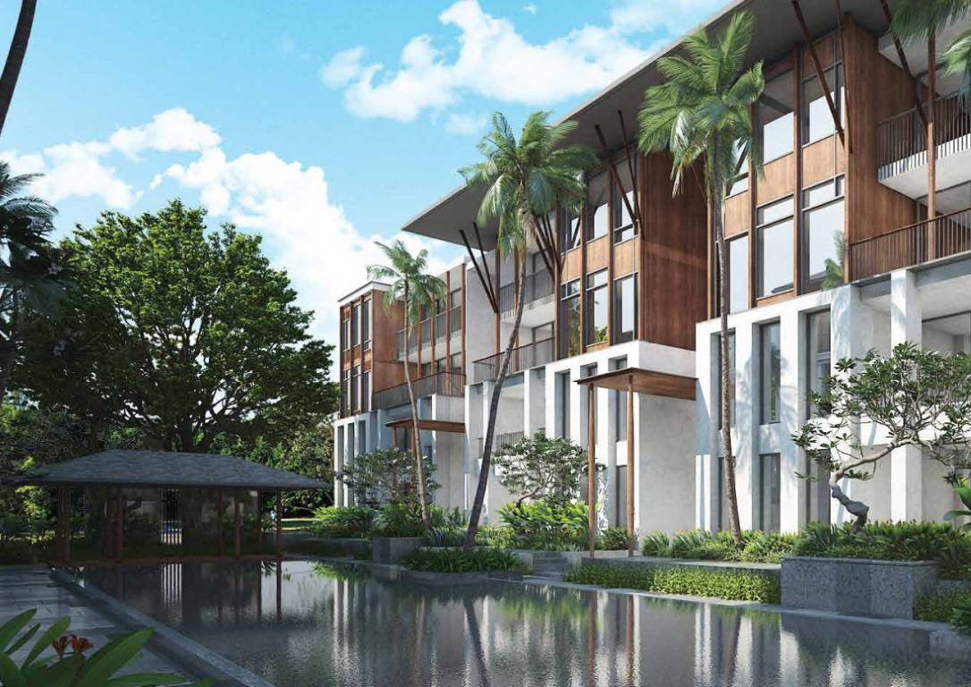 solstice Images for Elevation of Sun Solstice