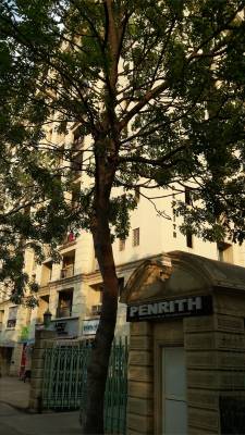 Images for Project Images for Project